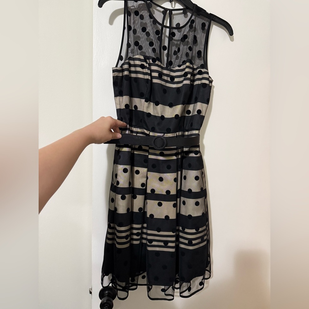 Eliza J Polka Dot Black and Beige Dress